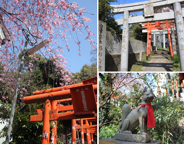 西公園の桜