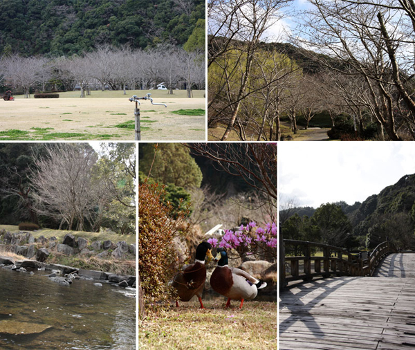 清水岩屋公園（キヨミズイワヤコウエン）