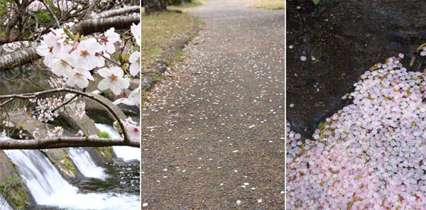 清水岩屋公園（キヨミズイワヤコウエン）