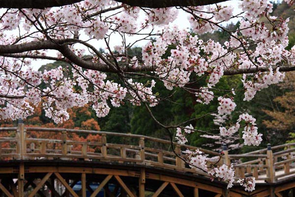 清水岩屋公園（キヨミズイワヤコウエン）