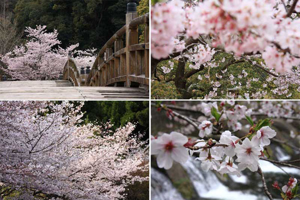 清水岩屋公園（キヨミズイワヤコウエン）