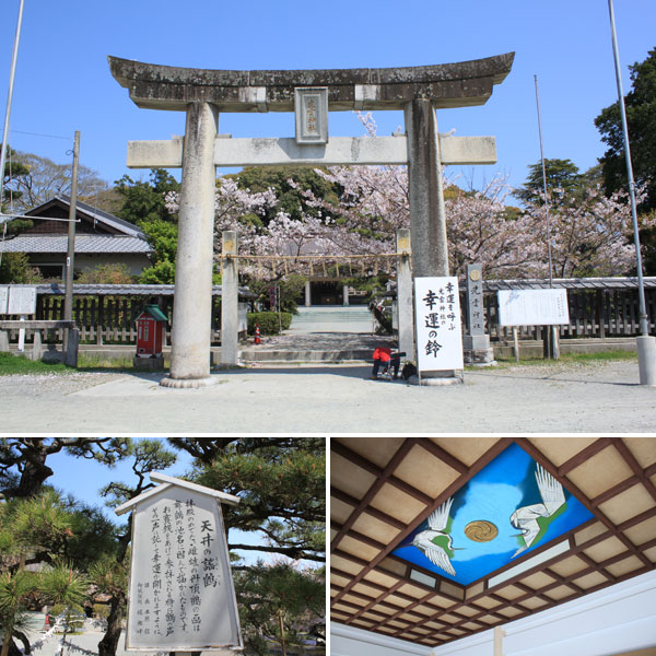 西公園の桜