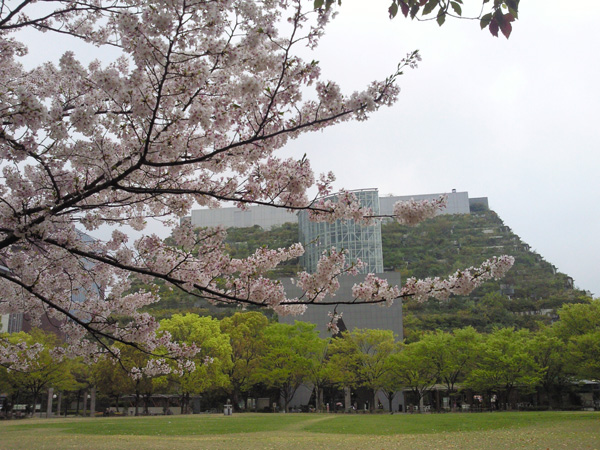 福岡天神中央公園