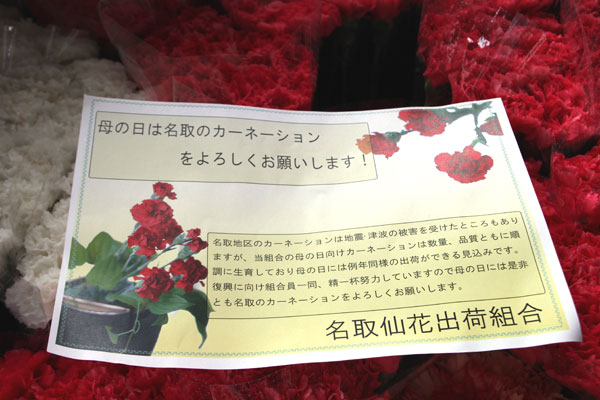 名取市のカーネーション
