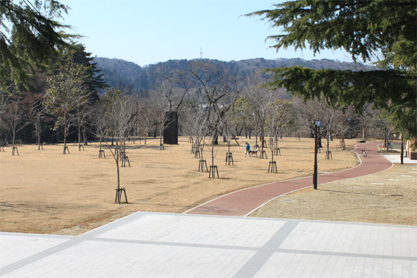 西公園の桜