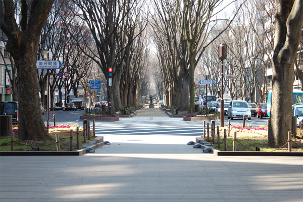 西公園の桜