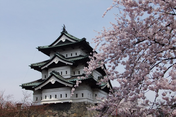 弘前の桜