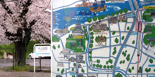 犬山城の桜