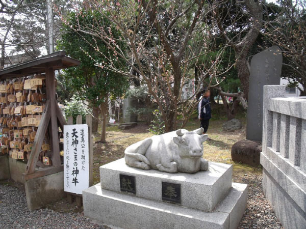 日枝神社の天神様の牛