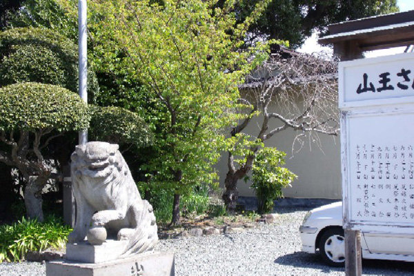 日枝神社の河津桜