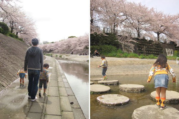 名古屋の桜