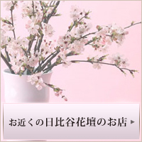 お近くの日比谷花壇のお店＞
