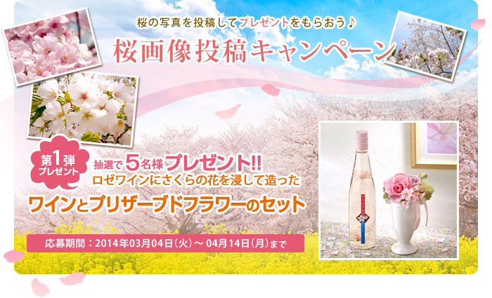 投稿お待ちしています。簡単投稿はこちら＞