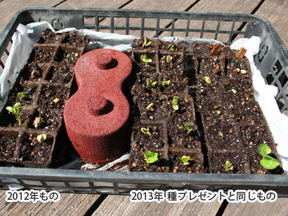 みどりの広場