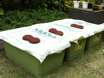 みどりの広場