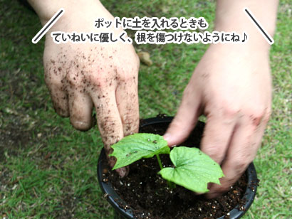 みどりの広場
