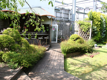 みどりの広場
