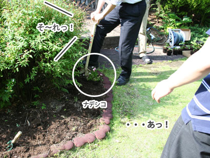 みどりの広場