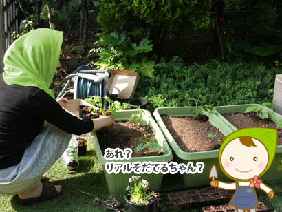 みどりの広場