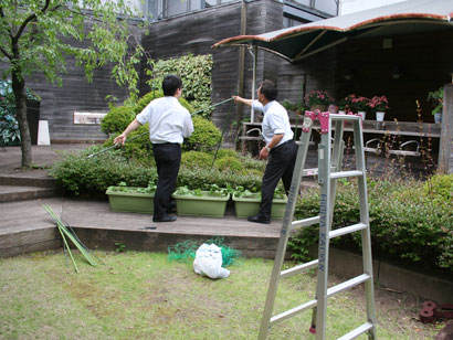 みどりの広場