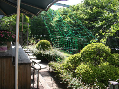 みどりの広場