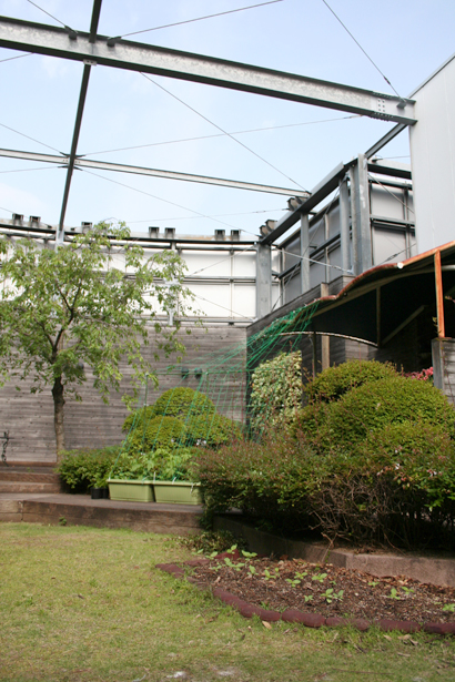 みどりの広場