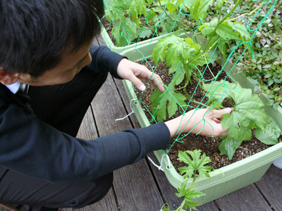 みどりの広場