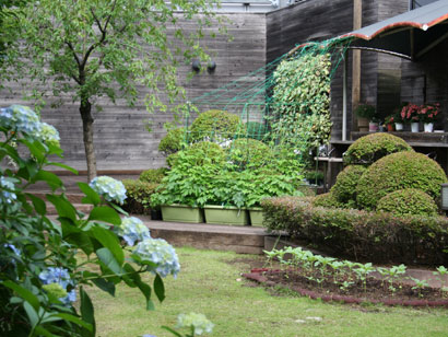 みどりの広場