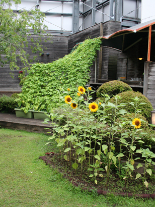 みどりの広場