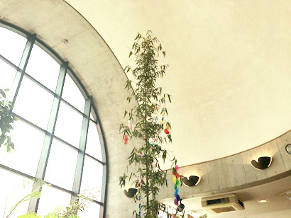 夢の島熱帯植物館