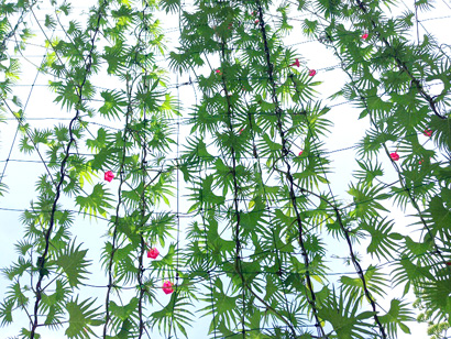 夢の島熱帯植物館