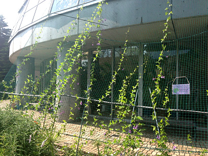 夢の島熱帯植物館